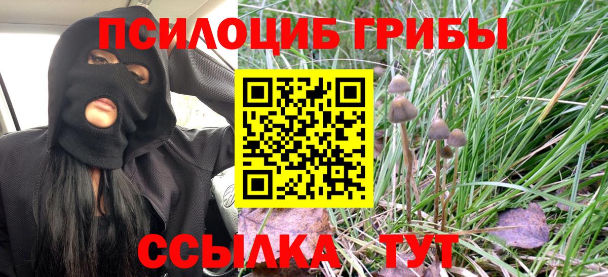Псилоцибиновые грибы GOLDEN TEACHER Новодвинск