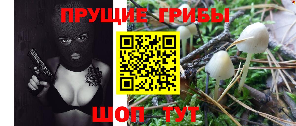 Псилоцибиновые грибы Psilocybine cubensis  Вход с VPN  Галлюциногенные грибы ЛСД  Новодвинск 